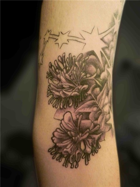 Honeysuckle Tattoo Honeysuckle tattoo, Tattoos, Flower tatto