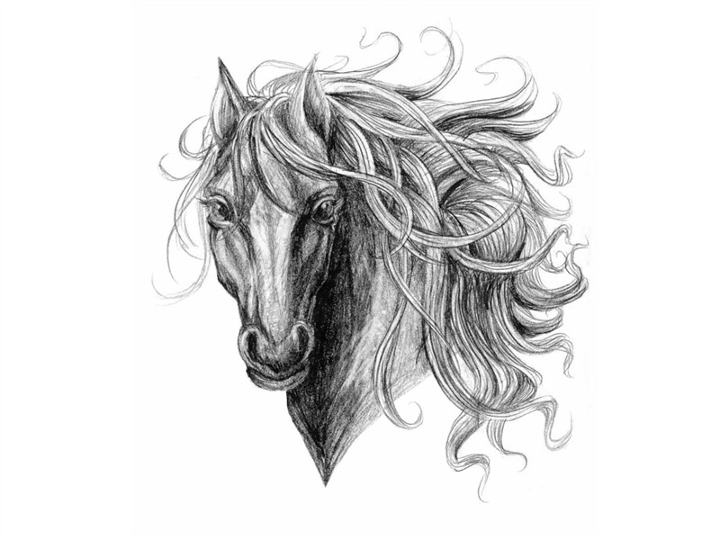 Horse tattoo, Horse tattoo design, Horse clip art