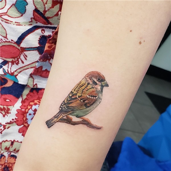 How to Choose a Perfect Sparrow Tattoo Design - Body Tattoo