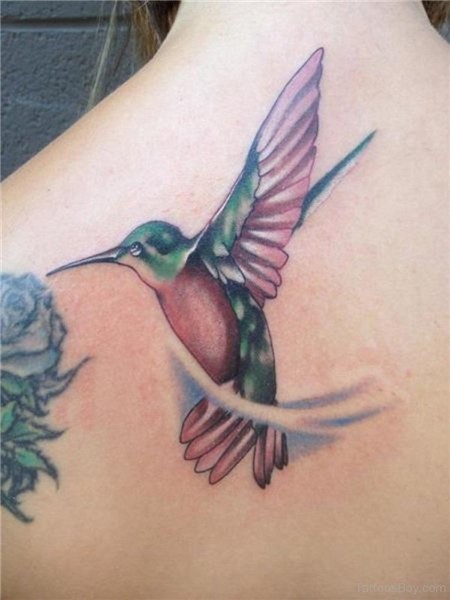 Hummingbird Tattoos Tattoo Designs, Tattoo Pictures Page 5