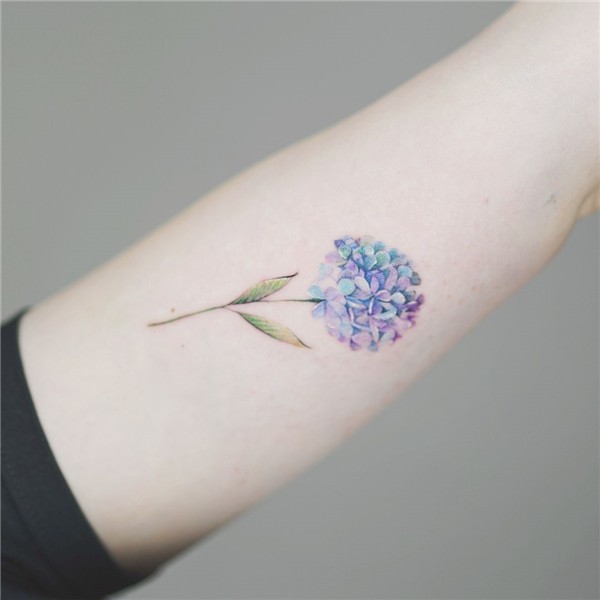 Hydrangea 🍃 . #tattoo #tattoodesign #flowertattoo #colortatt