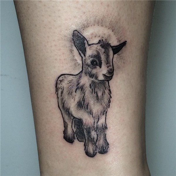 Image result for cute goat tattoo Tattoo goat, Animal tattoo