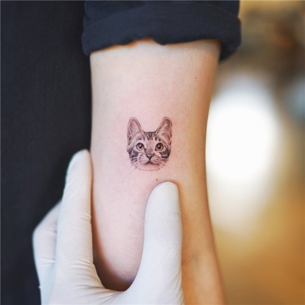 Impeccable Cat Tattoo - Best Cat Tattoos - Best Tattoos - Mo
