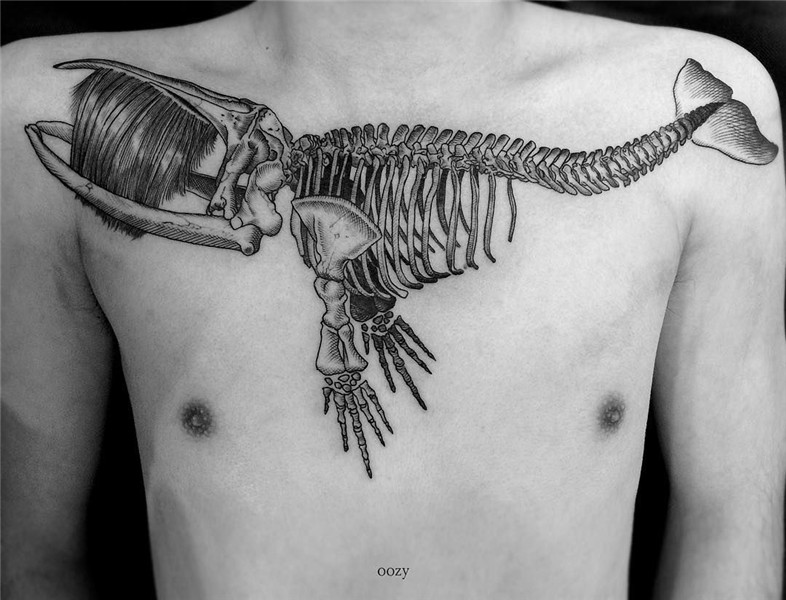 Instagram Whale tattoos, Tattoos, Skeleton tattoos