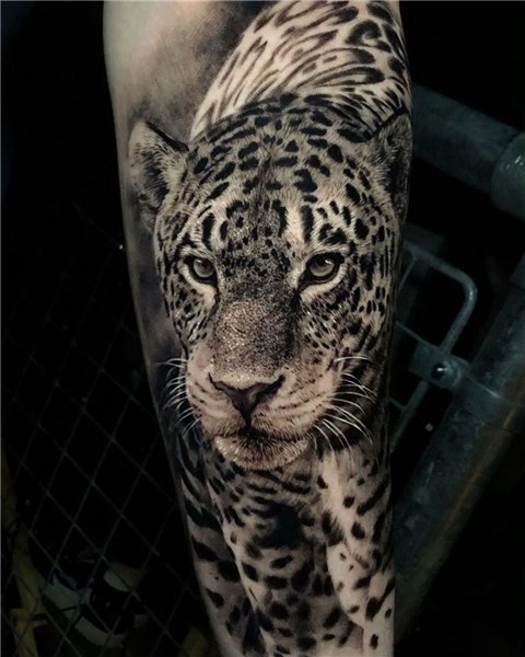 Jaguar Leopard tattoos, Animal sleeve tattoo, Jaguar tattoo