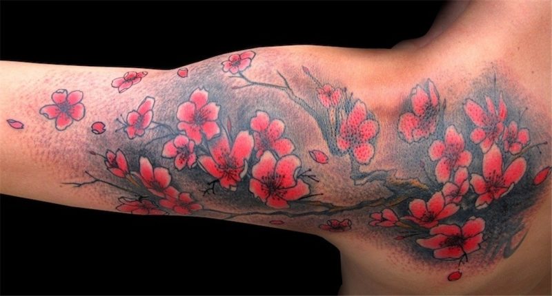 Japanese tattoo style. Gerezi lorea. Flor de cerezo. Flickr