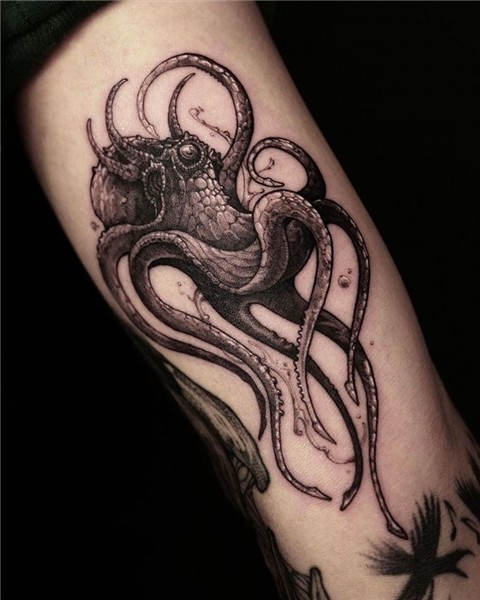 Kraken Tattoo / 100 Kraken Tattoo Designs For Men Sea Monste