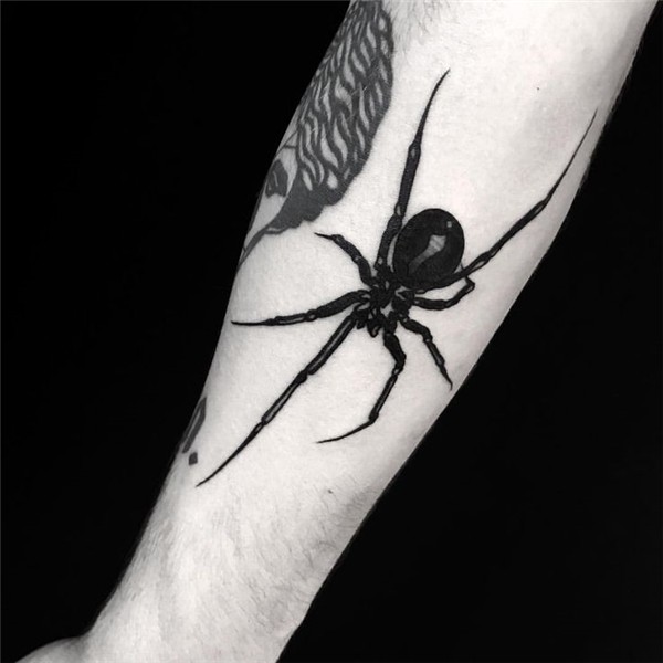 LOUIS.LOVELESS Spider tattoo, Tattoos, Fire tattoo
