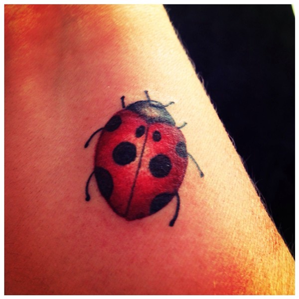 Lady Bug Tattoo Lady bug tattoo, Bug tattoo, Beetle tattoo