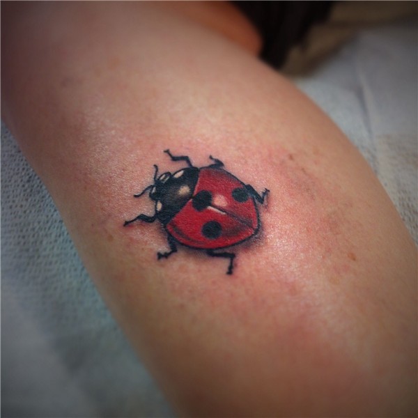 Ladybug tattoo Lady bug tattoo, Tattoos, Cute tattoos
