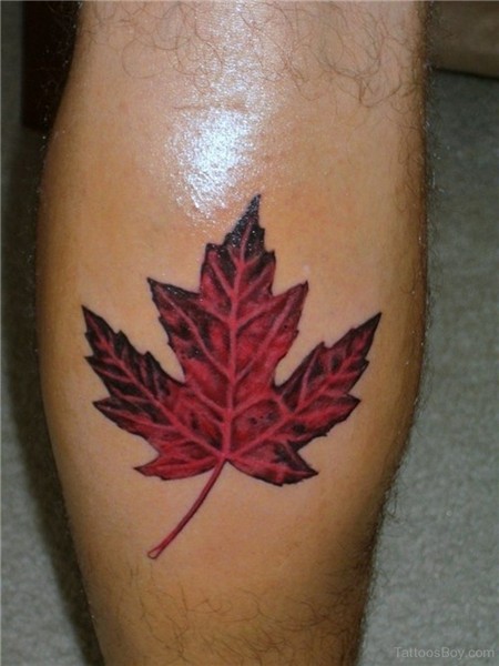 Leaf Tattoos Tattoo Designs, Tattoo Pictures