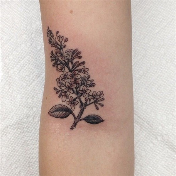Lilac tattoo with no color. Lilac tattoo, Tattoos, Alchemy t