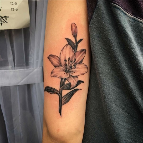 Lily Tattoo Designs - Why Is Lilies Such A Great Flower For