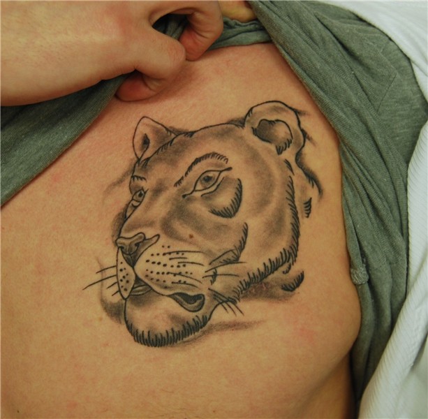 Lioness Tattoo Designs - Bing images