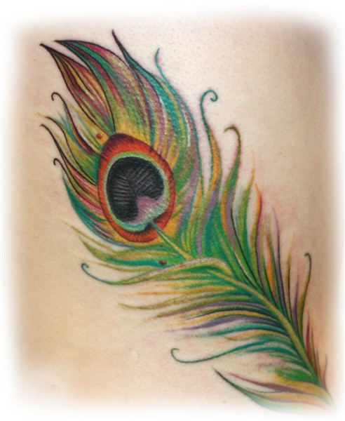Little Bird Tattoo!: Peacock feather tattoo Fjädertatueringa