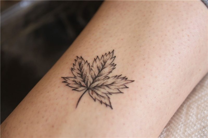 Maple Leaf by Maria Maple leaf tattoos, Tree tattoo, Tree ta