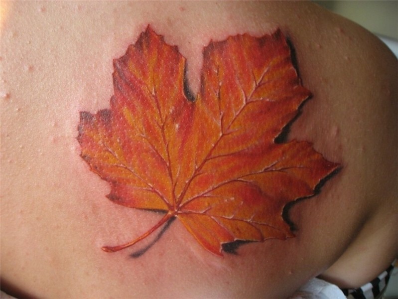 Maple leaf: the meaning of a symbol for a tattoo, for the fl