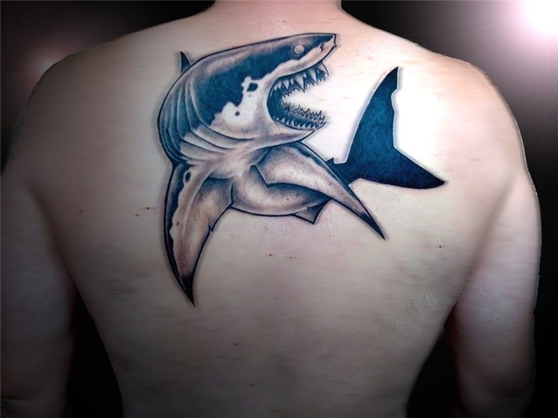 Megalodon Tooth Tattoo Shark Pictures Pictures
