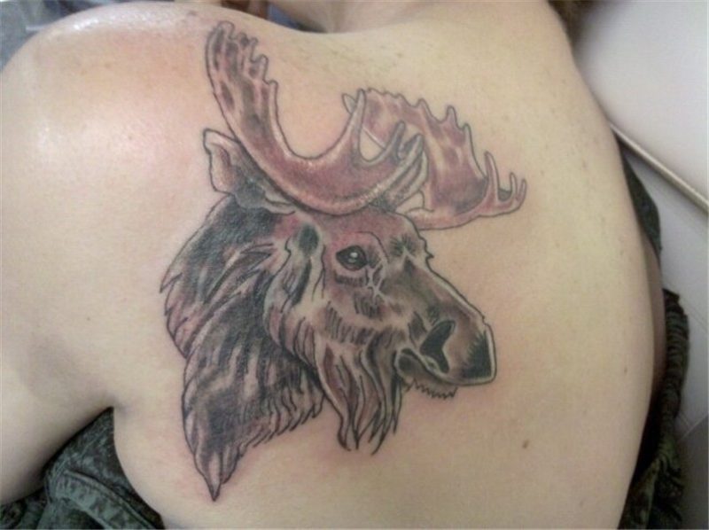 Moose Tattoos Designs, Ideas and Meaning Tattoos For You