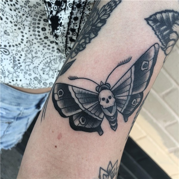 Moth Tattoo Pics - Bing images