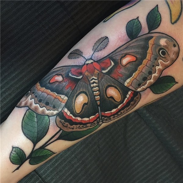 Moth tattoo by @nstegall made at Redletter 1. #nickstegall #