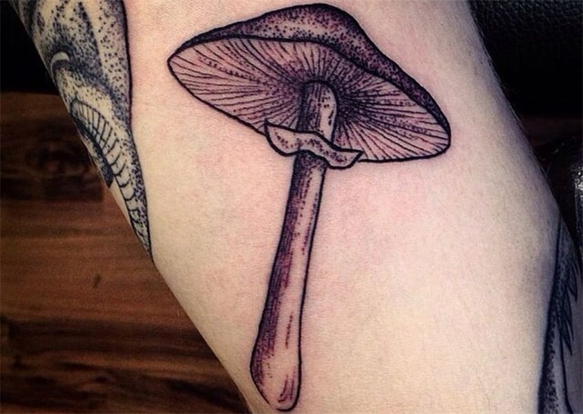 Mushroom and mushroom tattoos Tattooing