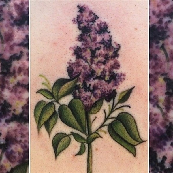 My lilac tattoo (by Zane Pendergast) Lilac tattoo, Tattoos,