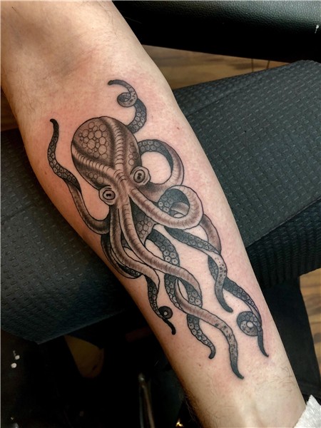Octopus tattoo by Felix at Untold Gallery in Portage IN Octo