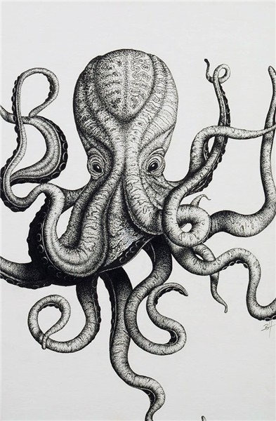 Octopus tattoo design, Octopus drawing, Octopus tattoos
