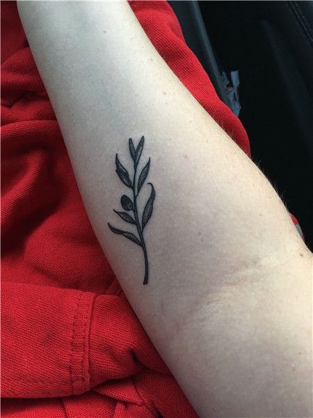 Olive branch Olive tattoo, Tattoos for women flowers, Grace