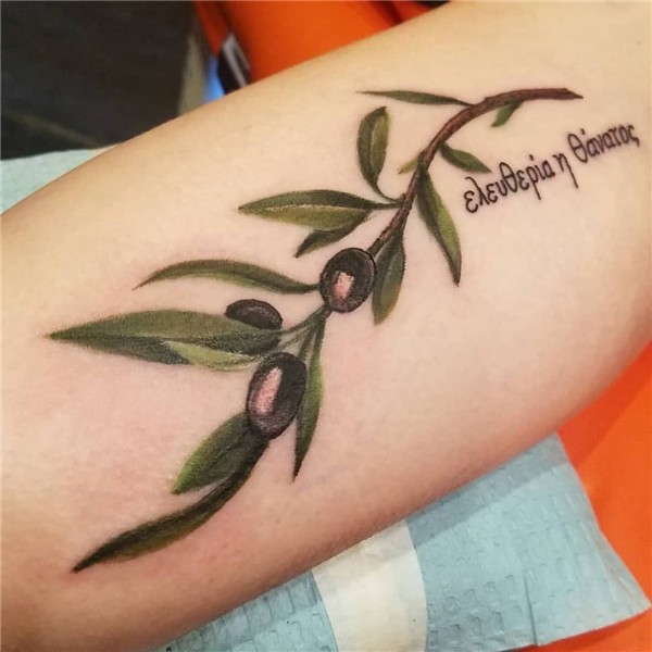 Olive branch for Genie #tattoo #ink #colortattoo #vintage #v