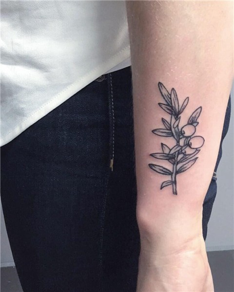 Olive branch tattoo, by Alyssa McNall. Madison, WI Tattoos,