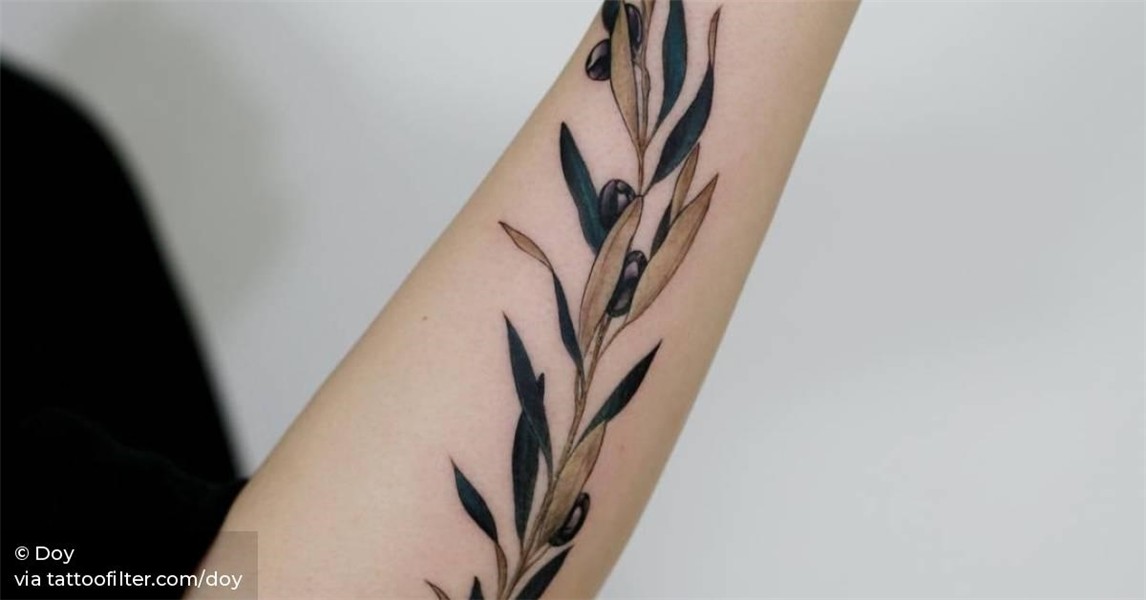 Olive branch tattoo on the forearm.