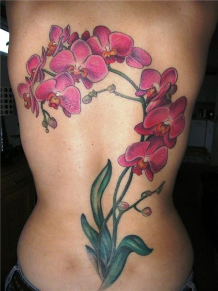 Orchid Tattoos - TattooFan Orchid flower tattoos, Orchid tat