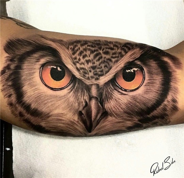 Owl Tattoo Tatuagem de coruja, Tatuagem coruja, Coruja de pe