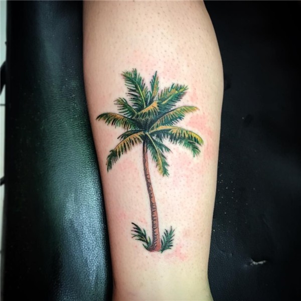 Palm Tree Tattoo 110 Palm tree tattoo, Palm tree tattoo ankl