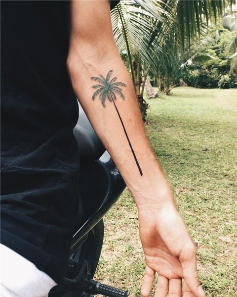 Palm tree tattoo #tattoo #palmtreetattoo #palmtree #tropical