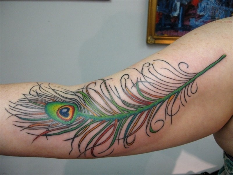 Peacock Tattoo Images & Designs