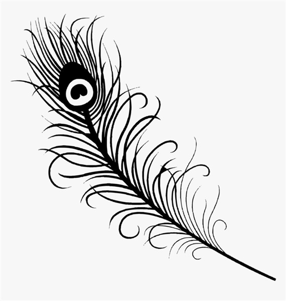Peacock Vector Art Nouveau - Simple Peacock Feather Drawing,