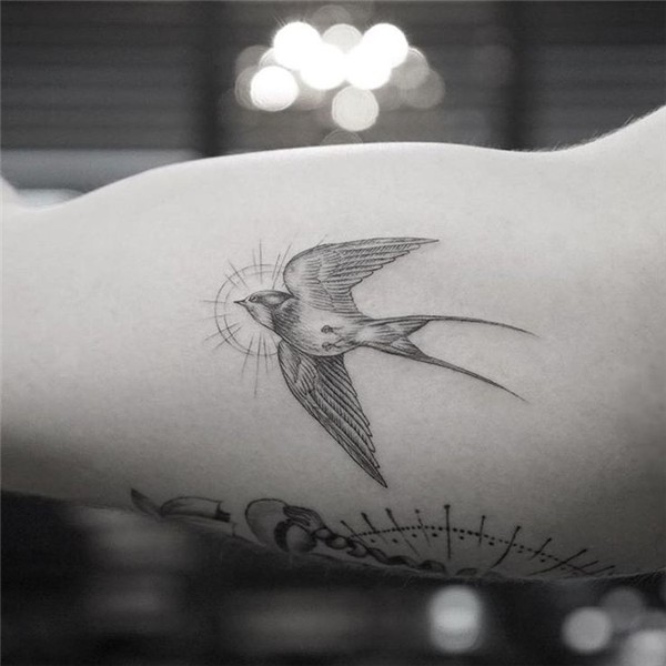 Pin by Alpay grg on ta ou i dea Swallow tattoo, Globe tattoo