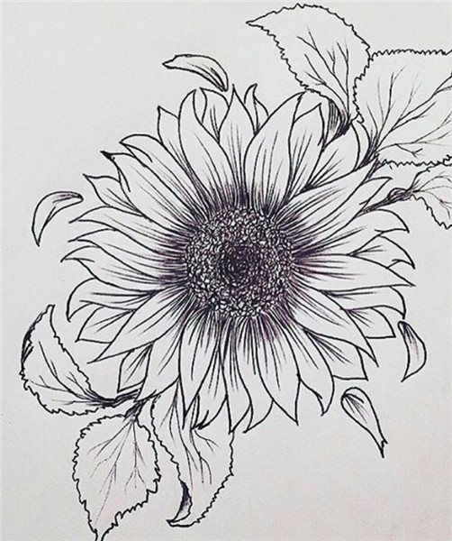 Pin by Amanda Stevenson on Screenshots Sunflower tattoos, Su