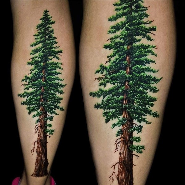 Pin by Amber Folkema on Bőrvarrás Tree tattoo color, Tattoos