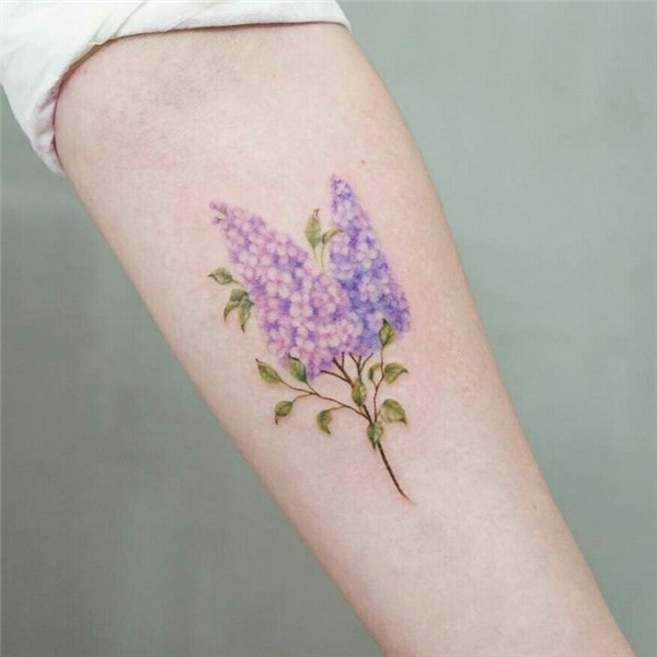Pin by Amy Love on arranha e rabisca Lilac tattoo, Vine tatt