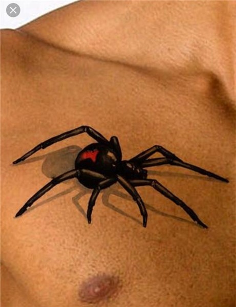 Pin by Brian E Nistler Sr on Tattoo spiders Black widow spid