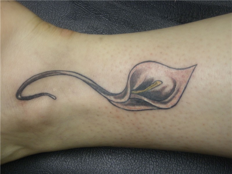 Pin by Calantha Sadler on Floral Tattoos Calla lily tattoos,