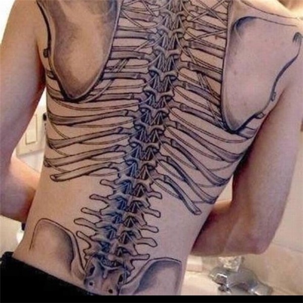 Pin by DatKreyzi TatCat on tats Anatomical tattoos, Spine ta