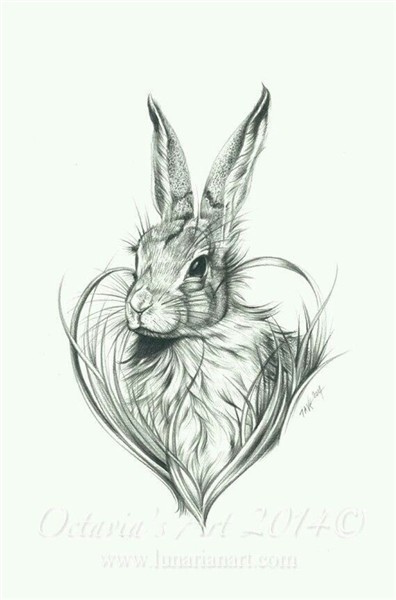 Pin by Dominique Blanc Artiste on Hoppity Cottage Rabbit tat