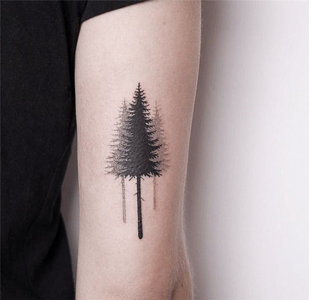 Pin by Emily Gadd on Tattoos Tree tattoo forearm, Pine tatto
