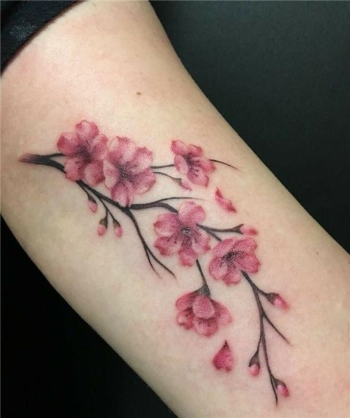 Pin by H Broyles on tattoo's Blossom tattoo, Sakura tattoo,