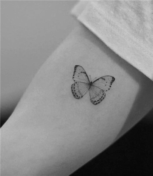 Pin by Hannah Simmons on Small tattoos Butterfly tattoo, Whi